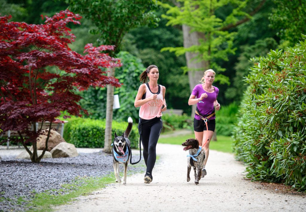 femmes faisant leur footing avec leur chien